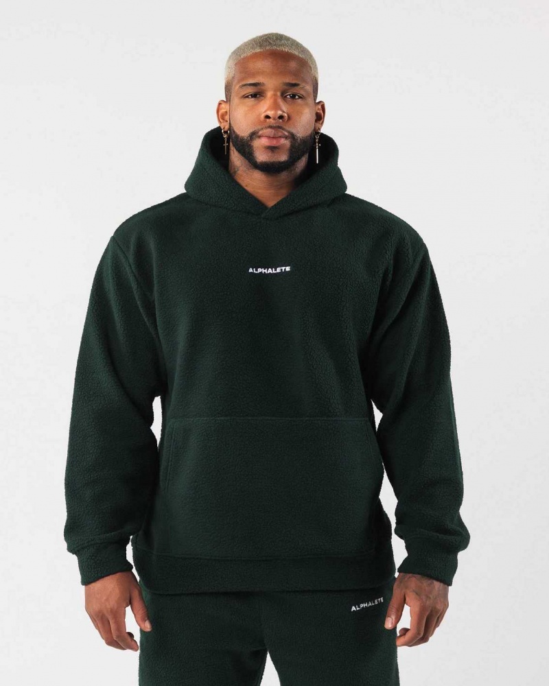 Sudadera con Capucha Alphalete King Hombre Verdes | Mexico-342698