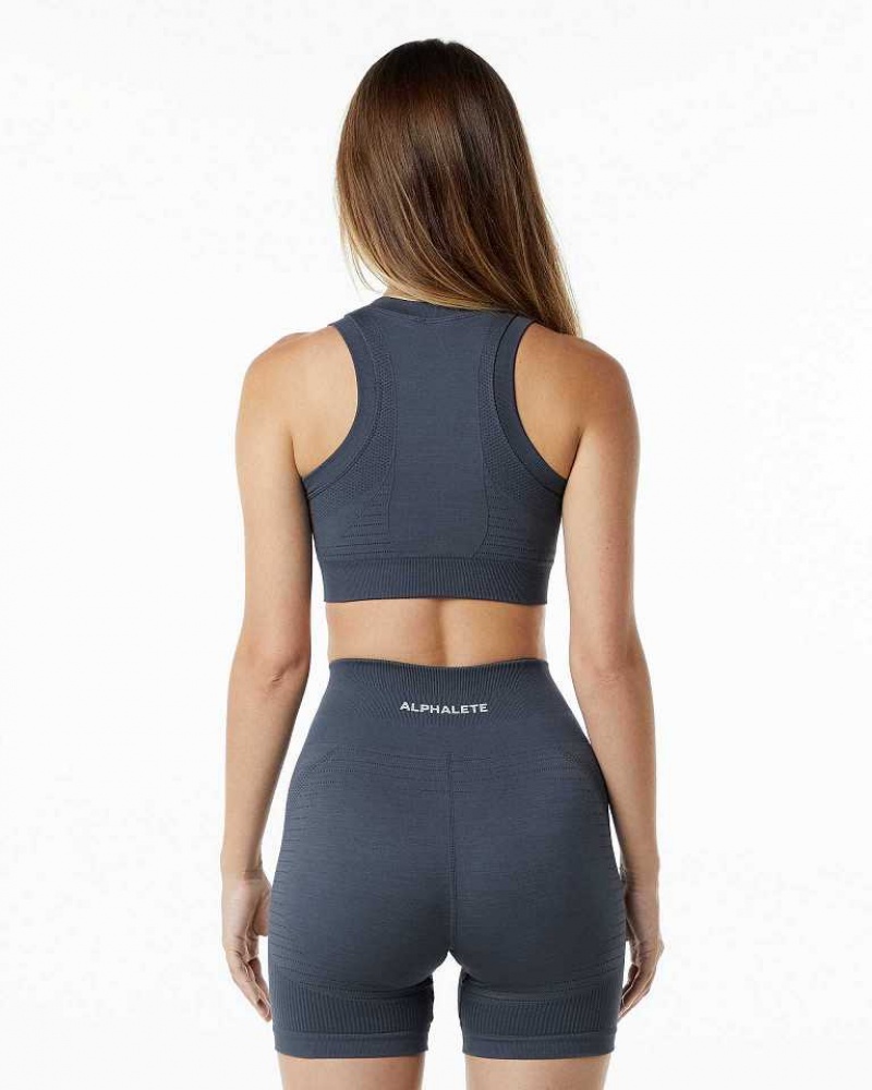 Sujetador Deportivo Alphalete Ozone Crop Mujer Grises | Mexico-125497