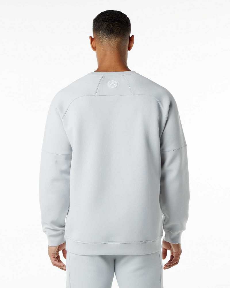 Suéter Alphalete ELMTS Crewneck Hombre Grises | Mexico-721354