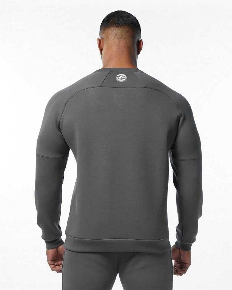 Suéter Alphalete ELMTS Crewneck Hombre Grises | Mexico-843192