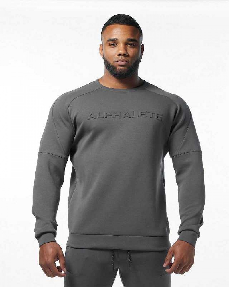 Suéter Alphalete ELMTS Crewneck Hombre Grises | Mexico-843192