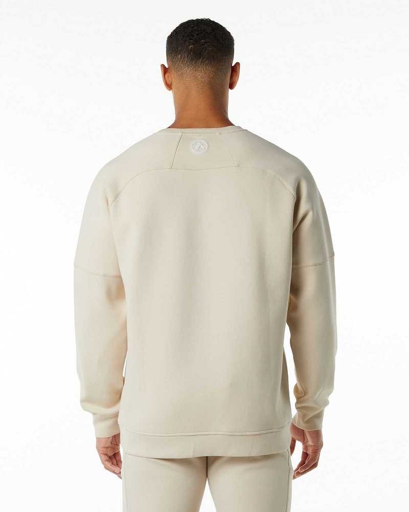 Suéter Alphalete ELMTS Crewneck Hombre Marrom | Mexico-197520