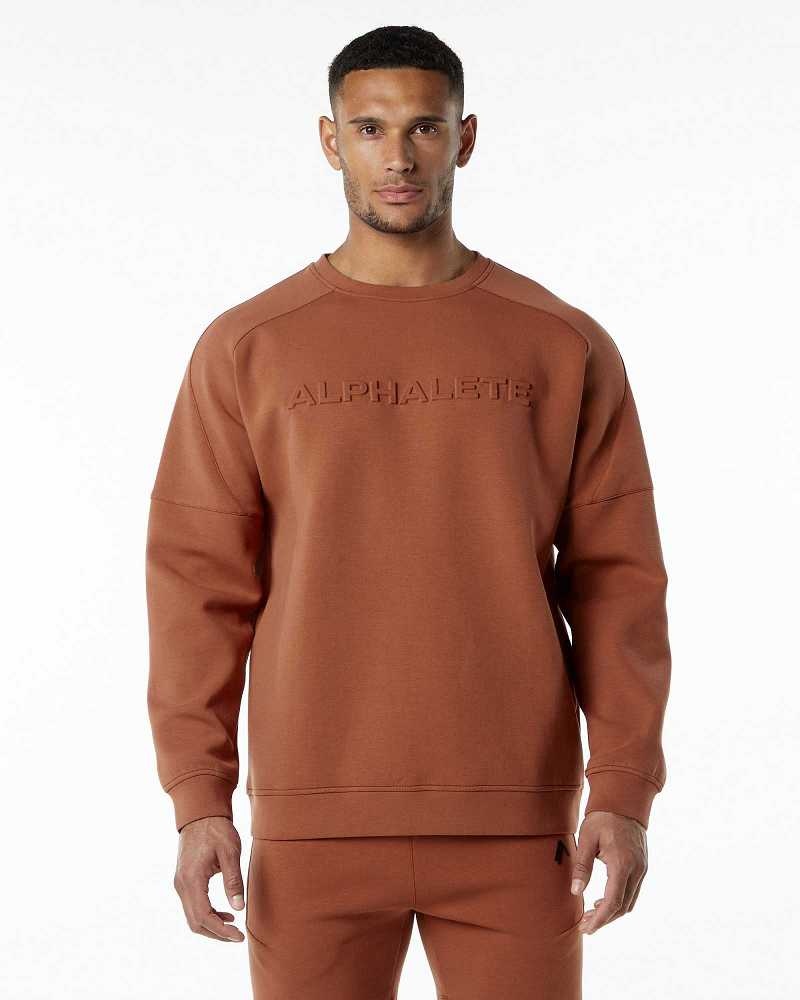 Suéter Alphalete ELMTS Crewneck Hombre Marrom | Mexico-624758