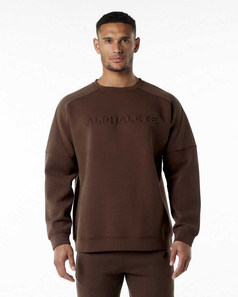 Suéter Alphalete ELMTS Crewneck Hombre Marrom | Mexico-017438